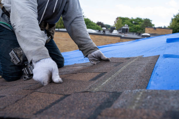 Roof Gutter Cleaning in Leon Valley, TX
